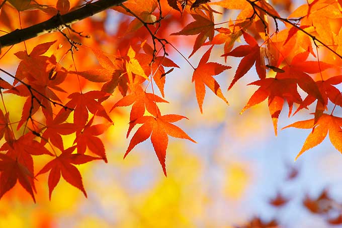 重たい雰囲気が醸し出されるアーカイブ情報